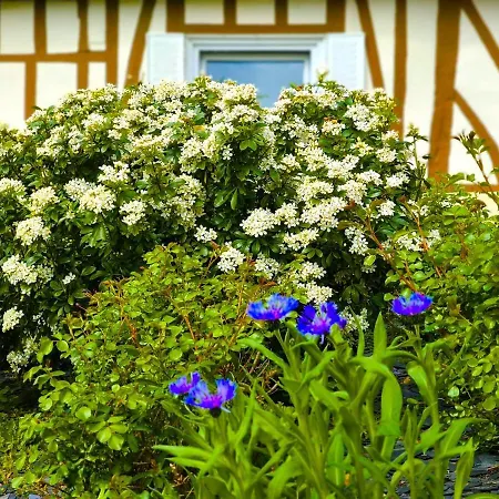 Authenticity Preserved Holiday home *